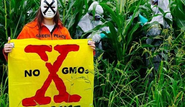 Nuova legge europea concede a stati membri di vietare OGM ma…